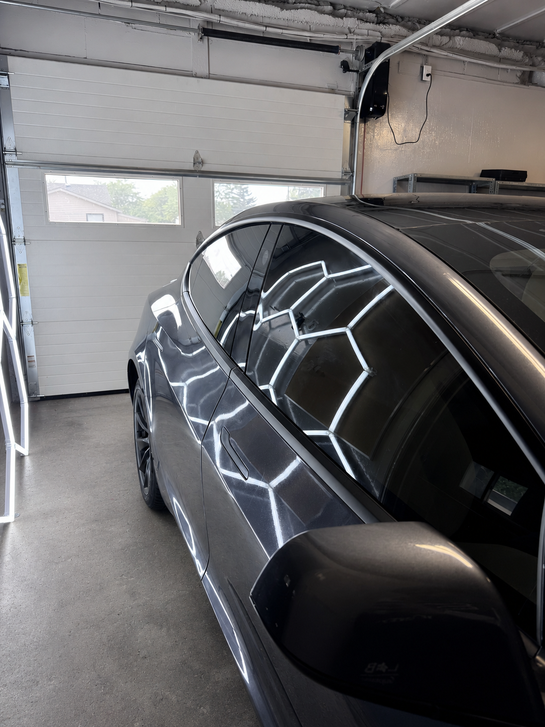 Window tint Hamilton